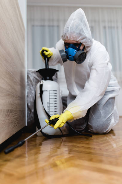 Best Fumigation Services  in Haines City, FL